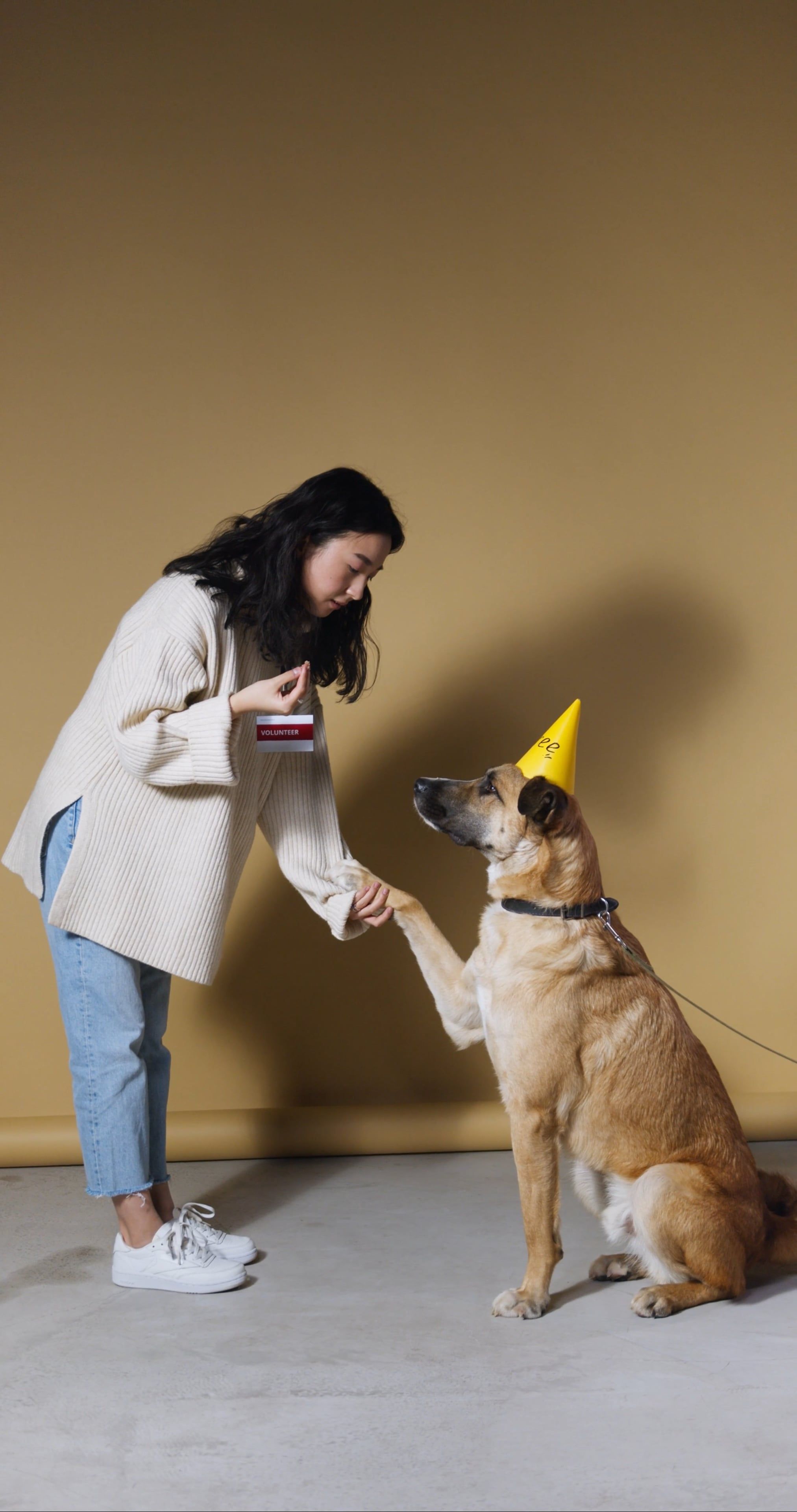 Woman Training a Dog · Free Stock Video