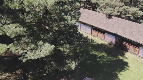 Drone Footage of House in the Forest