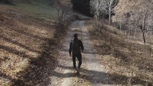 Man Hiking in the Forest