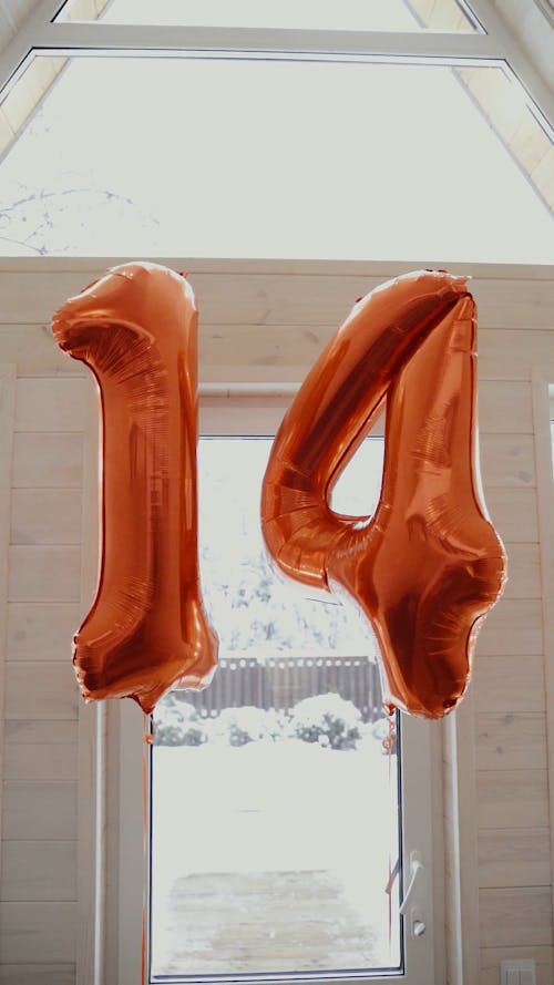 Number Balloons Floating in the House
