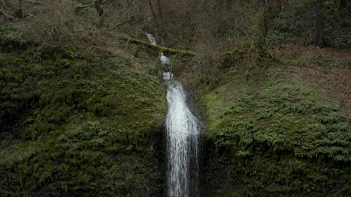 Waterfall in the Woods