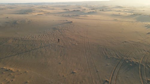 A Person Walking on the Desert