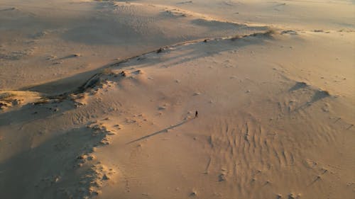 Drone Footage of a Person Walking in the Desert