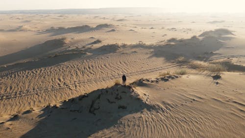 Drone Footage of a Person Walking in the Desert