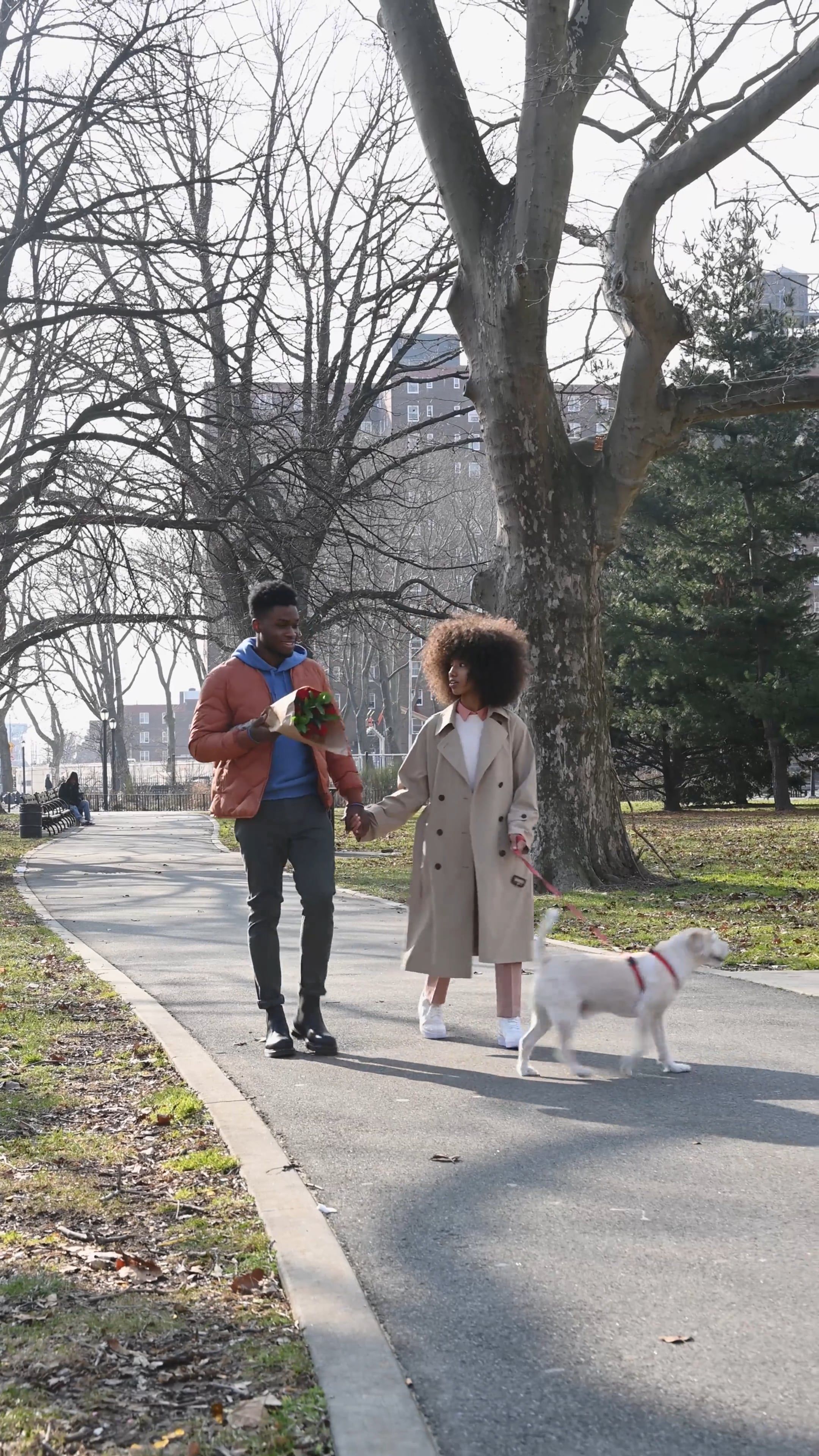 Couple Walking Their Dog Free Stock Video Footage, Royalty-Free 4K & HD ...