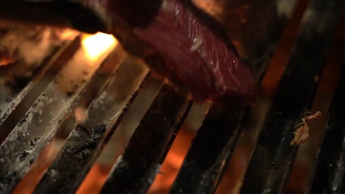 Close-up Shot of Grilled Steak