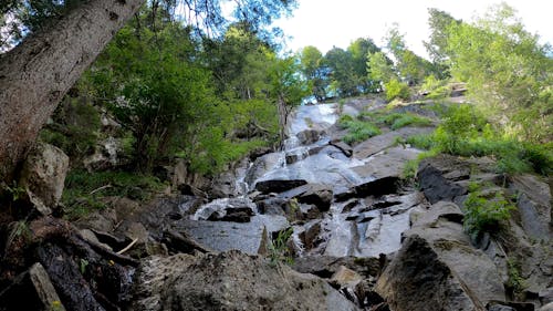 Small Waterfall on Mossy Rocks 