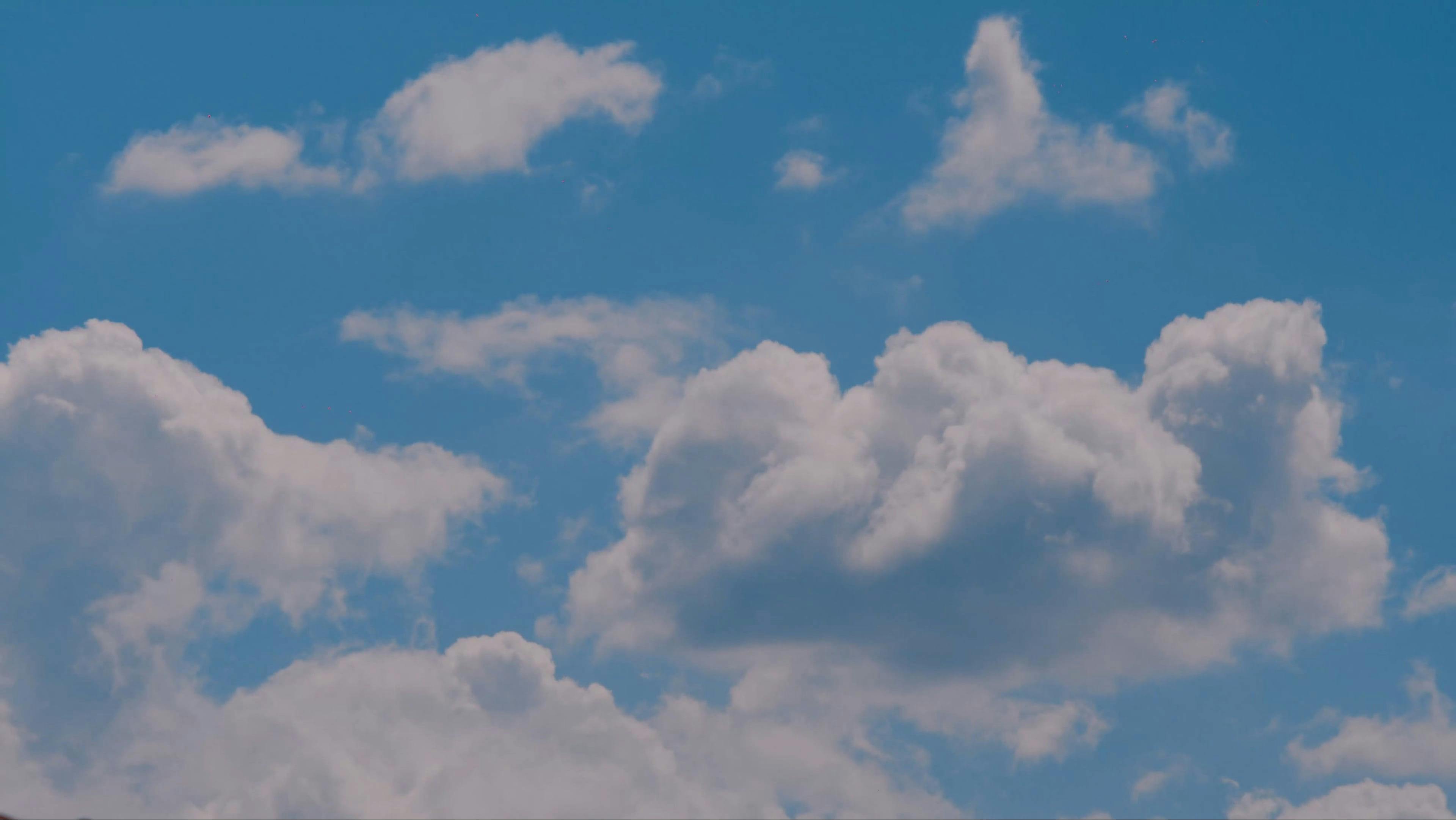 Video by Felipe David