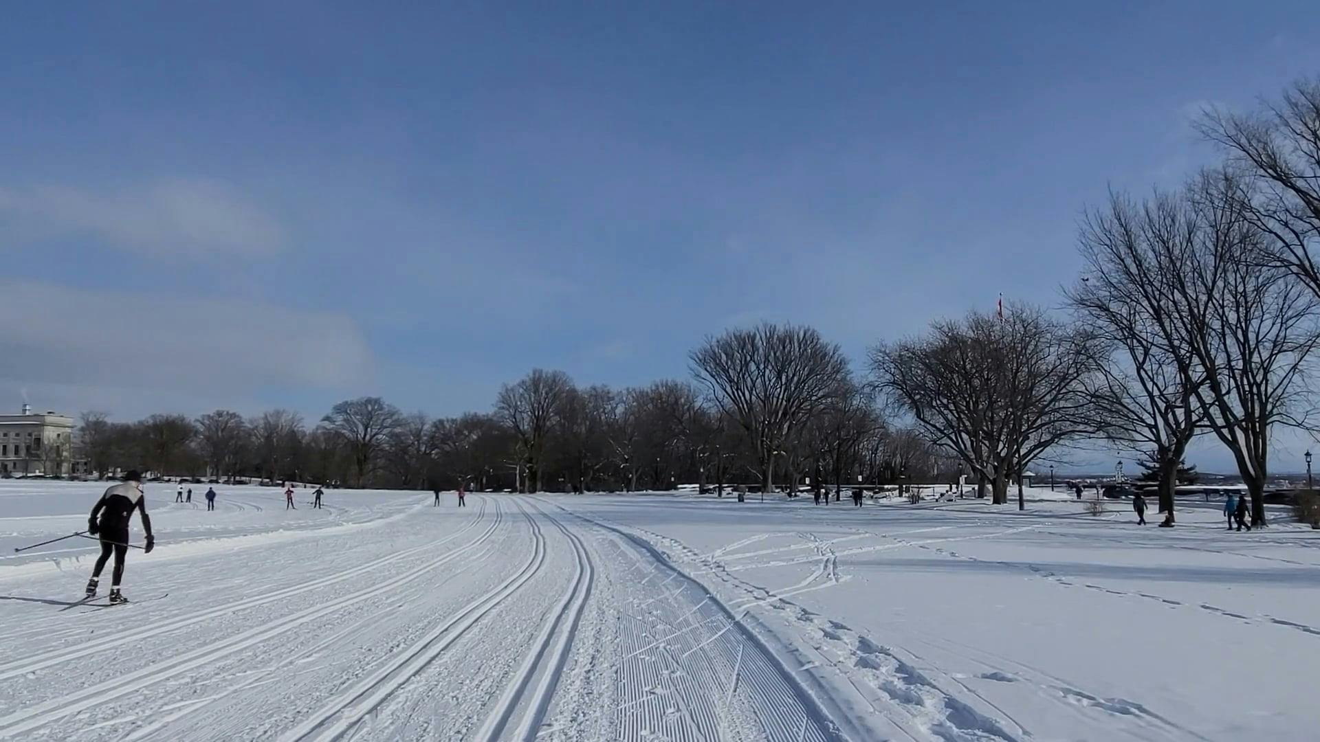 People Skiing in the Snow Free Stock Video Footage, RoyaltyFree 4K