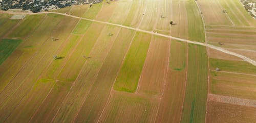 Aerial View of Green Fields