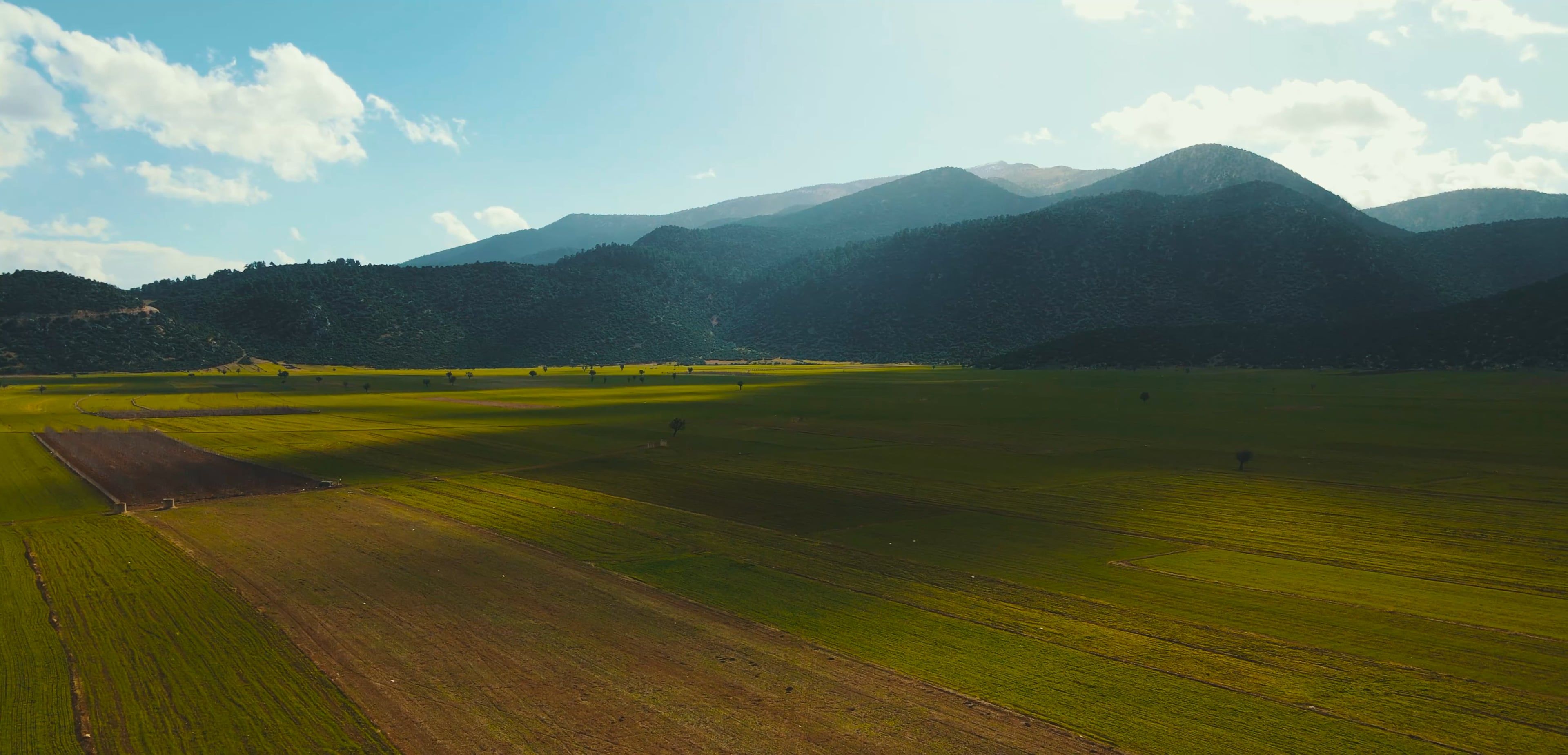2024 エスパルス 夏 ユニフォーム