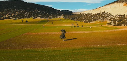 Drone Footage of Farmlands in a Valley