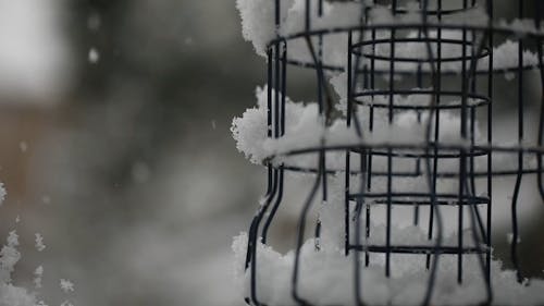 Close Up Video of a Snow