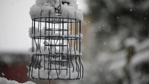 Snow Covered Cage