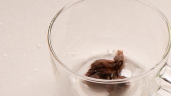 银耳羹免费下载高清视频高清视频视频素材