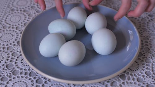 Uncooked Eggs on a Plate