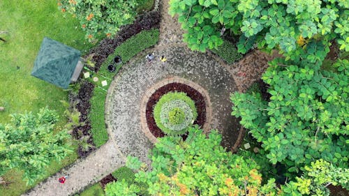 Aerial View of a Park