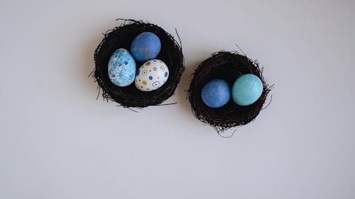 A Person Putting an Egg with a Nest