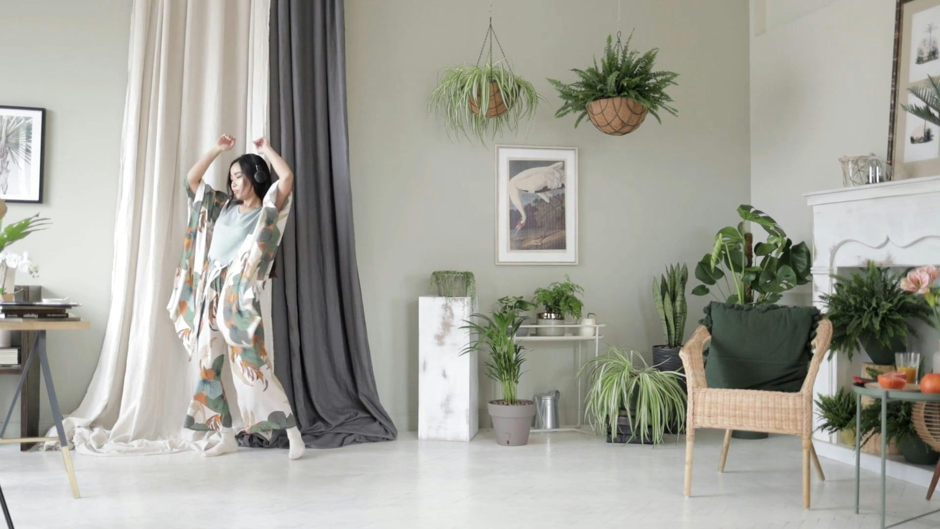 Chair Song Videos, Download The BEST Free 4k Stock Video Footage & Chair Song HD Video Clips