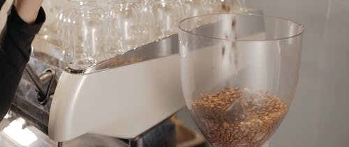 Person Pouring Coffee Beans in the Coffee Grinder