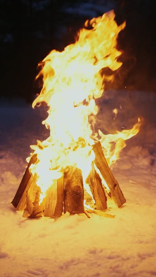 Bonfire in Winter Time 