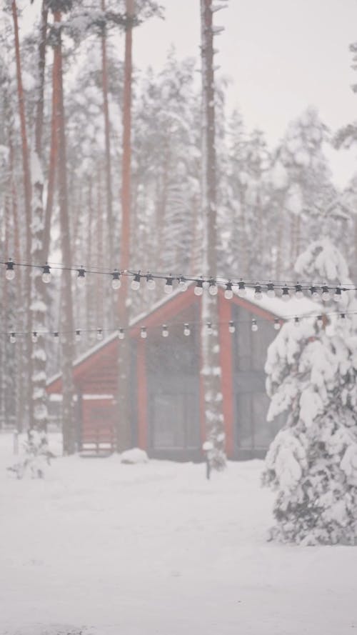 A Glass House Covered with Snow