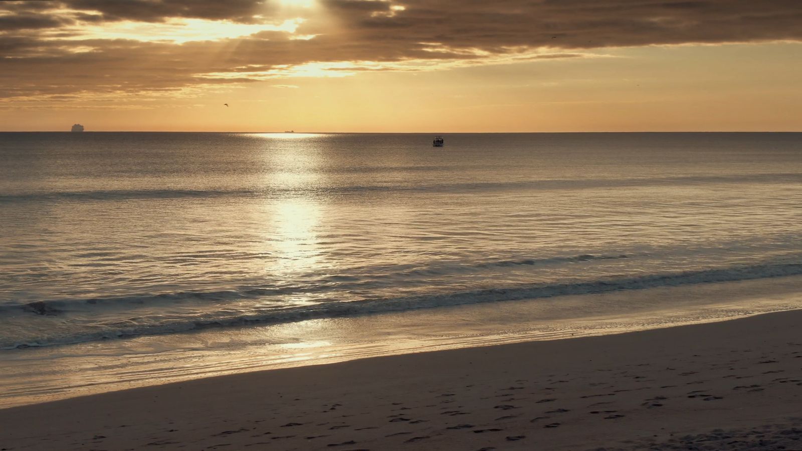 Drone Footage of a Beach Free Stock Video Footage, Royalty-Free 4K & HD ...