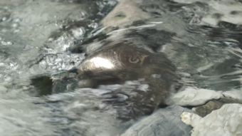 液冷水温视频素材