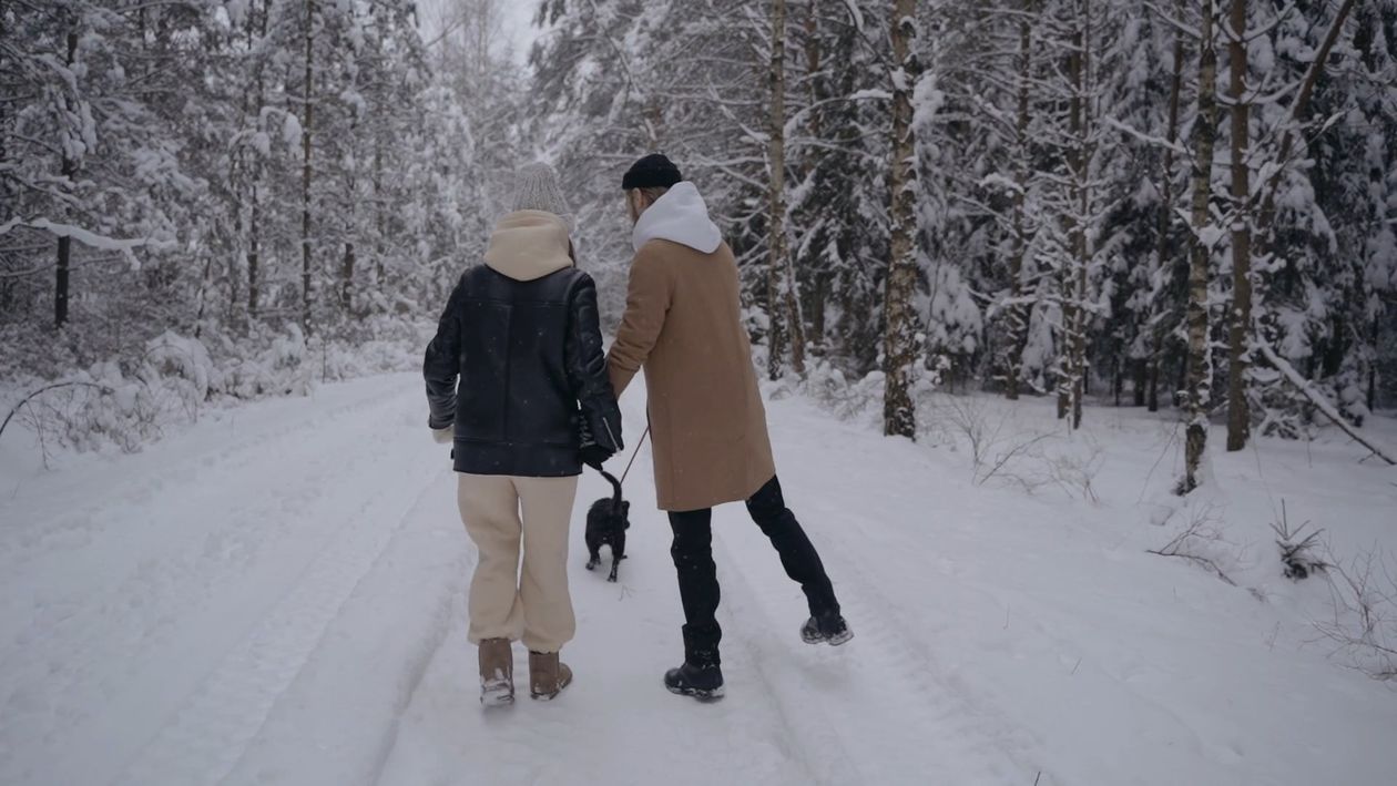 Couple Walking With A Dog In A Snowy Forest Free Stock Video Footage ...