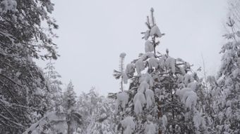下雪免费下载视频素材