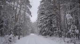 下雪免费下载视频素材