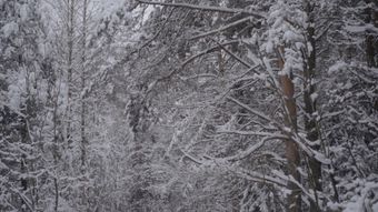下雪免费下载视频素材