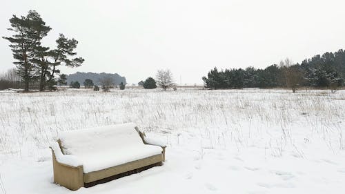 A Video of a Couch in the Middle of a Snowy Field