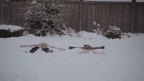 Man and Woman Making Snow Angels