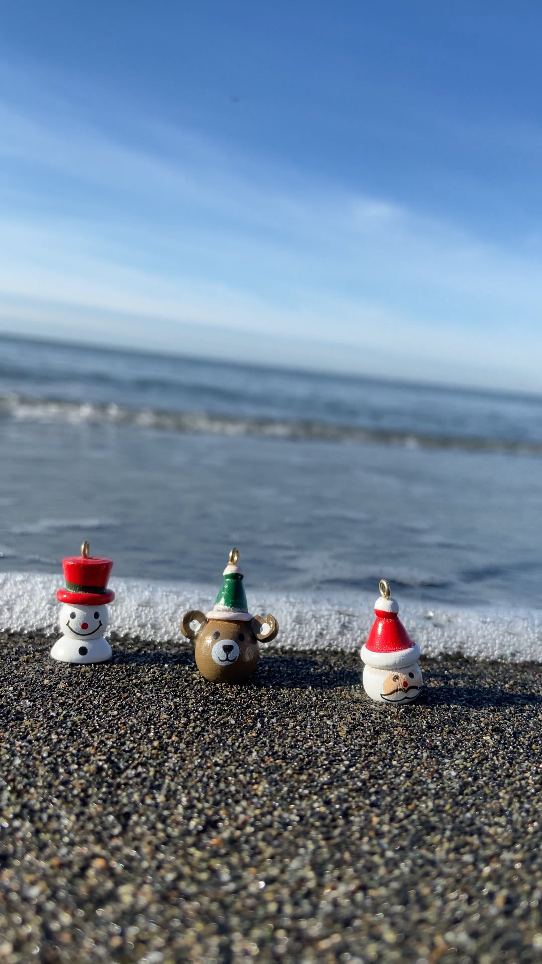 Beach Bear Videos, Download The BEST Free 4k Stock Video Footage ...