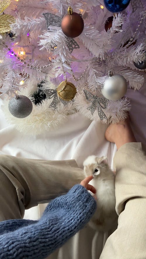 Person Sitting Beside a Christmas Tree with a Rabbit