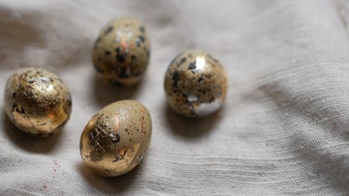 Close Up Video of Quail Eggs