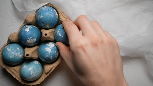 Person Getting Eggs from an Egg Tray