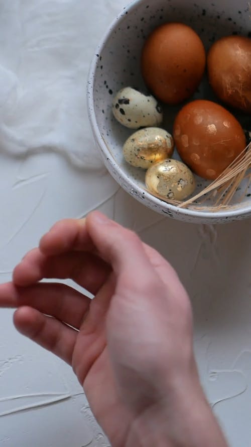 Person Holding Eggs