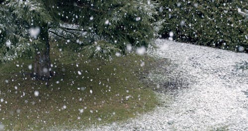 Snow Falling Over The Ground