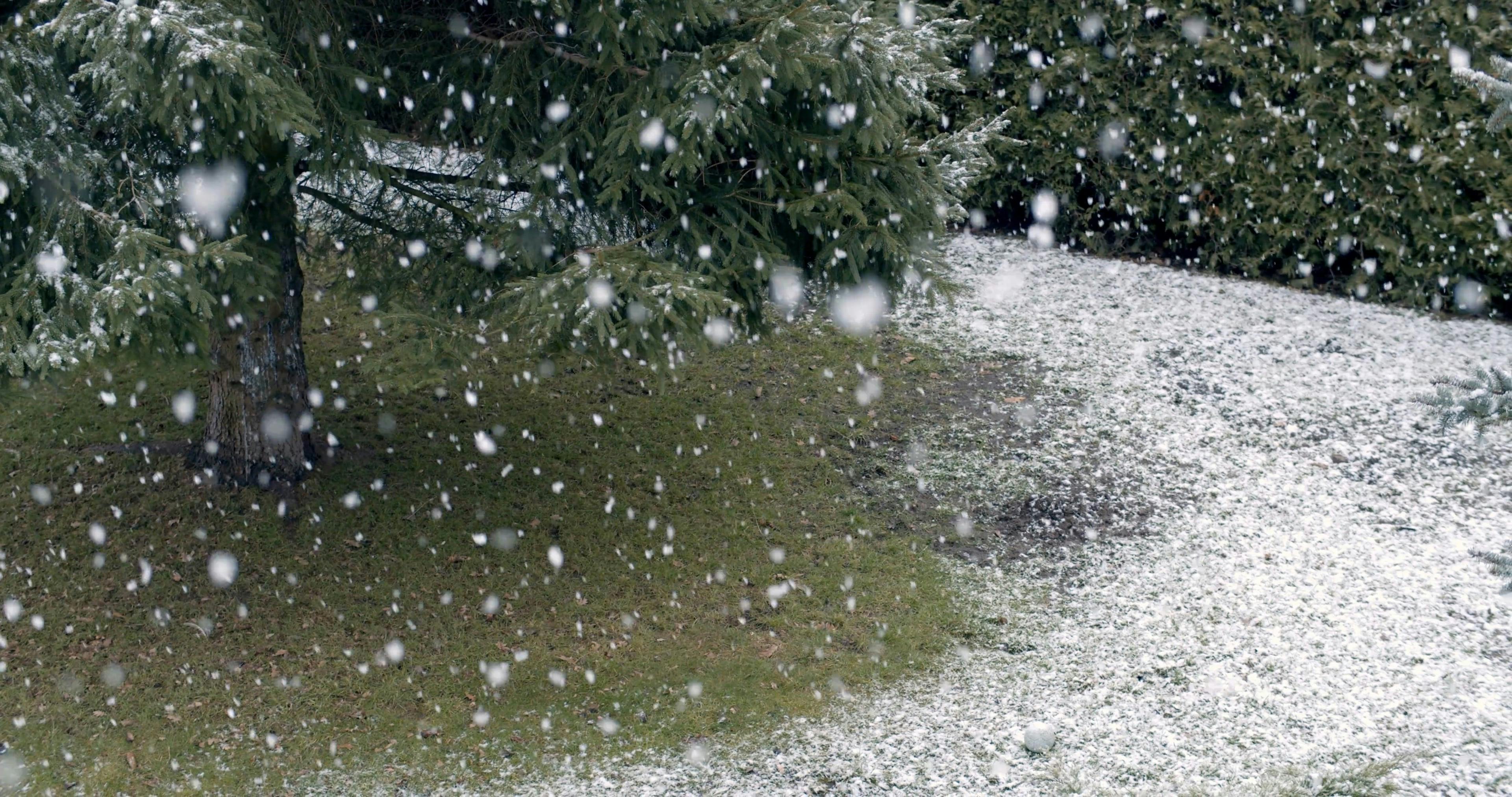 Snow Falling Over The Ground · Free Stock Video