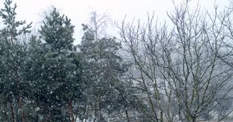 下雪免费下载视频素材