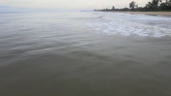 海边视频素材高清视频视频素材视频素材