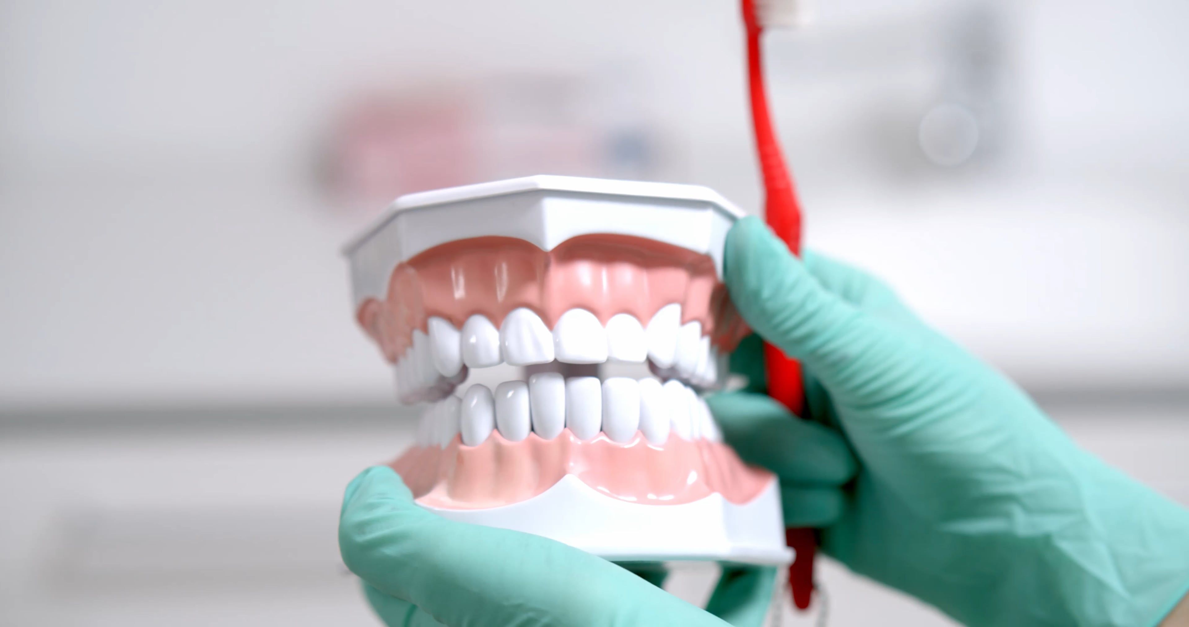 Dentist Showing Model of Oral Cavity · Free Stock Video