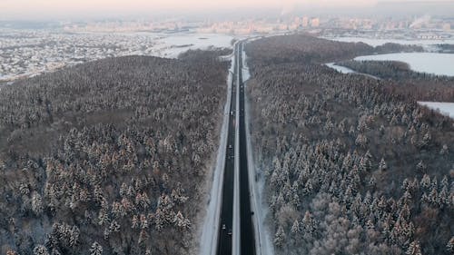 Aerial Shot of the Road in the Middle of the Forest during Winter