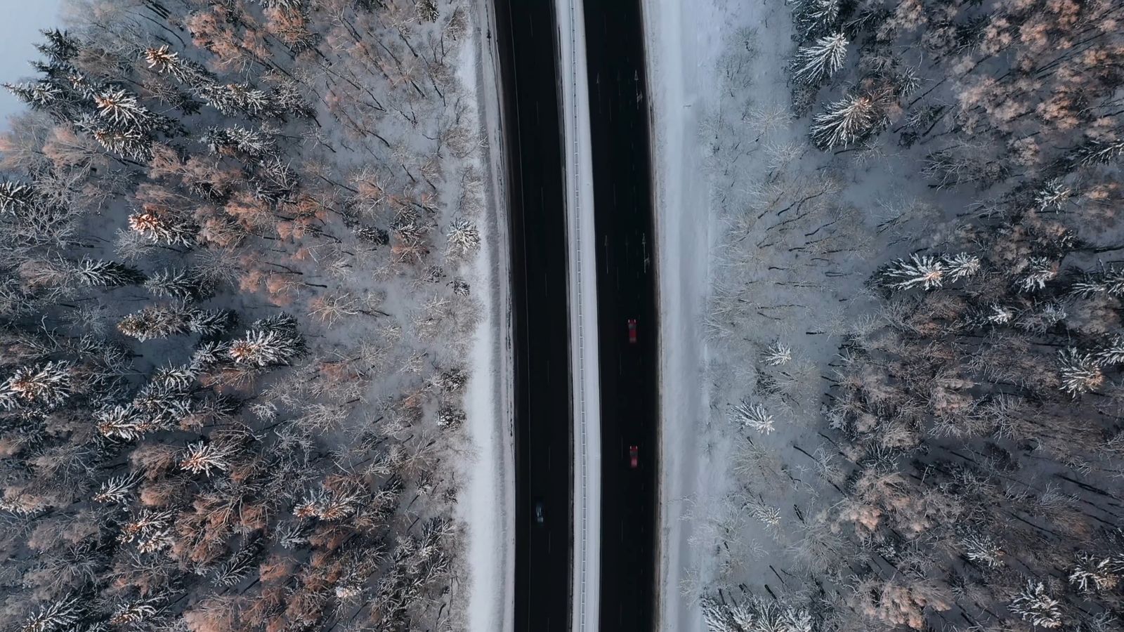 Bird's Eye View Of A Road Between Grass Fields Free Stock Video Footage ...