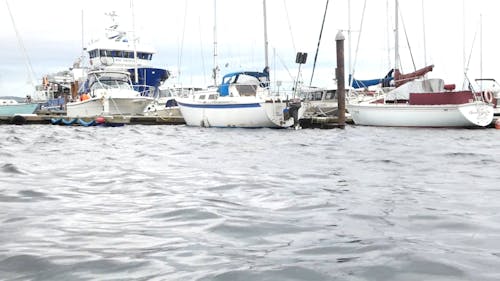 Boats Docked at a Marina