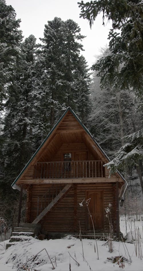 Video of a Wooden Cabin in the Middle of the Forest