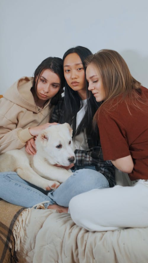 Friends Petting a Dog