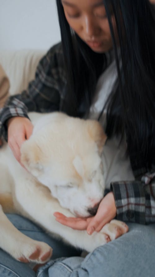 Woman Petting a Dog